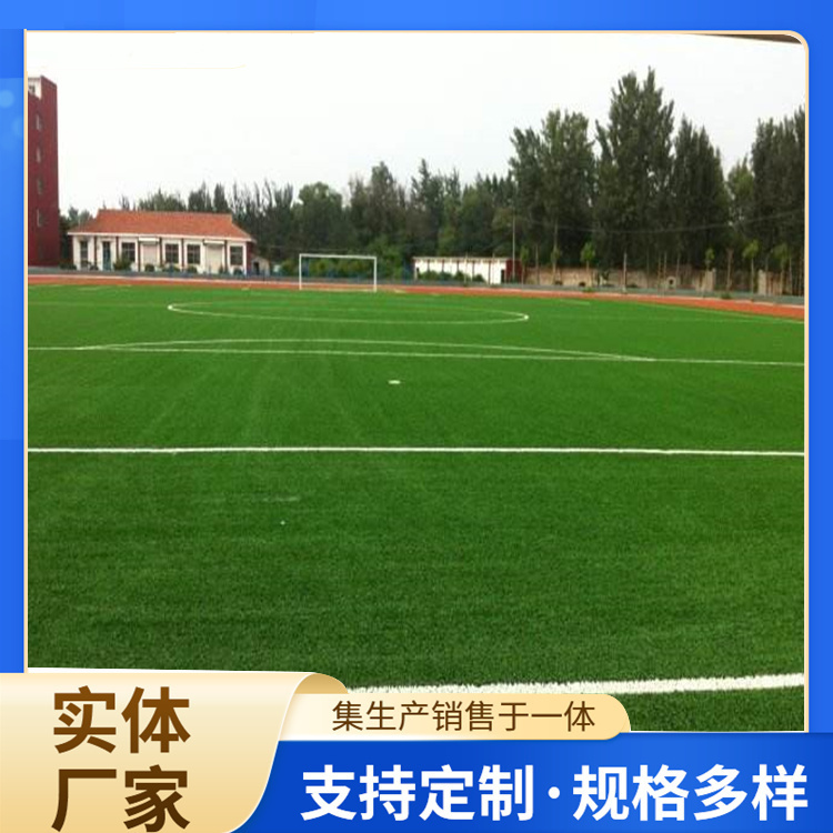 新余市橡胶跑道人造草坪 - 价格